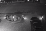 cctv_02